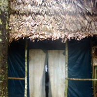 My solo-sleeping hut