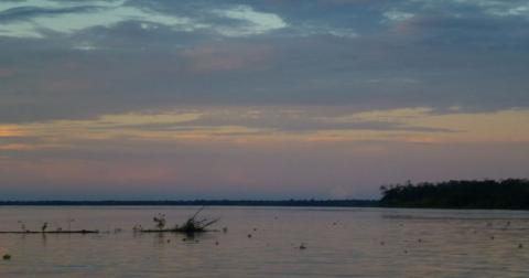 U: Under the stars on the Amazon