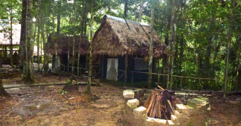 Kapok Camp in the Peruvian Amazon Jungle