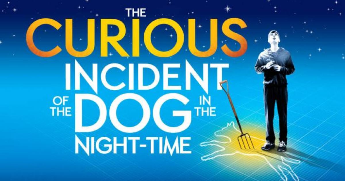 New York Theatre: The Curious Incident of the Dog in the Night-Time