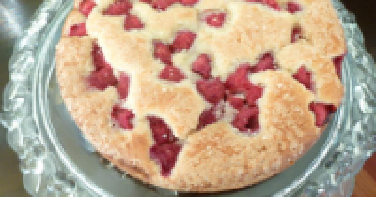 Cookbook Review: Piece of Cake! Cookbook Review: Piece of Cake!