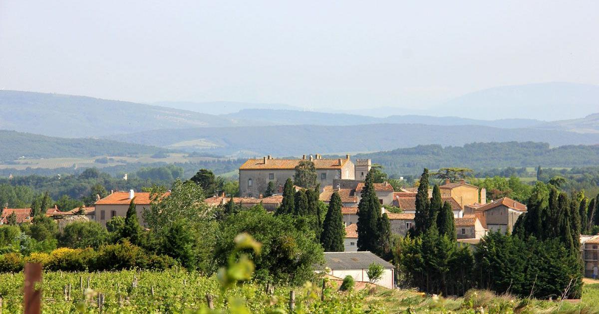 Vineyards of Brugairolles