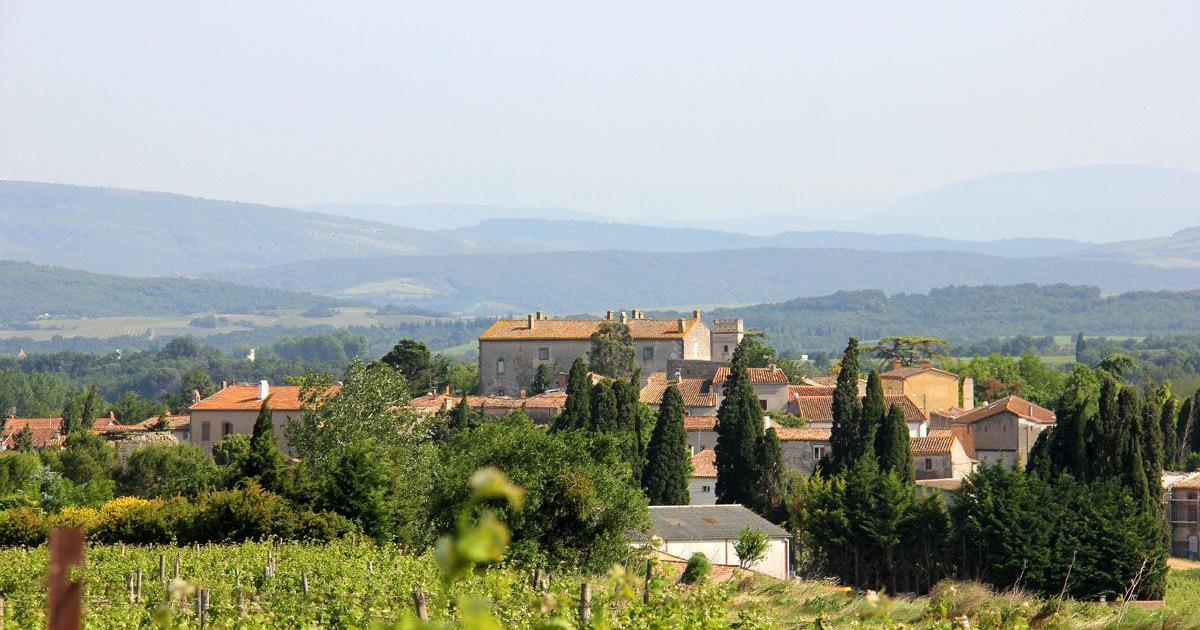 Vineyards of Brugairolles Vineyards of Brugairolles