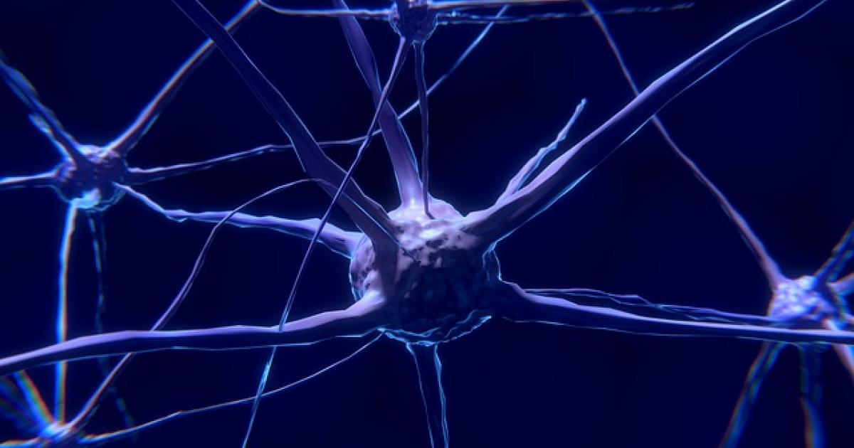 neuron neuron