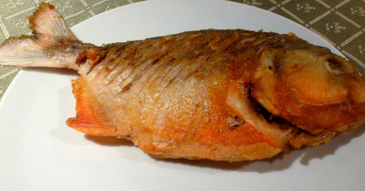 I ate a Piranha - My A to Z Challenge theme: Amazon Adventures I ate a Piranha - My A to Z Challenge theme: Amazon Adventures