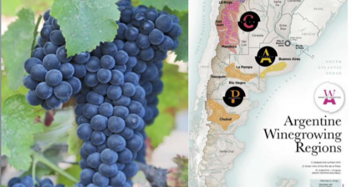 Argentine Wine Regions