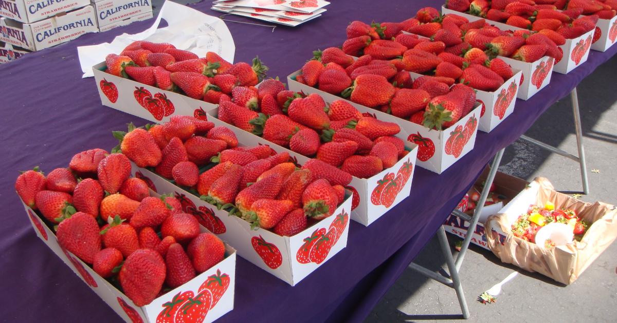 Strawberries Fair Strawberries Fair