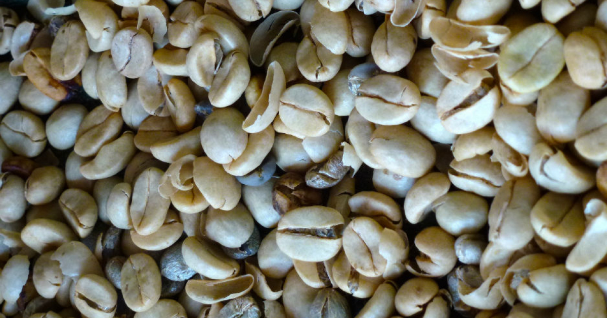 coffee beans coffee beans